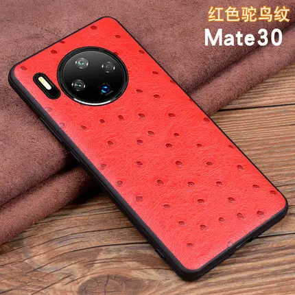 1 Модные крокодиловые аксессуары для телефонов, чехол для huawei mate 30, тонкая задняя защитная оболочка для huawei mate 30 Pro 30Pro - Цвет: 1