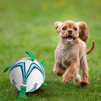 pet dog football toy puppy large dog outdoor training interactive game bounced soccer chew bite ball pet supplies 19cm