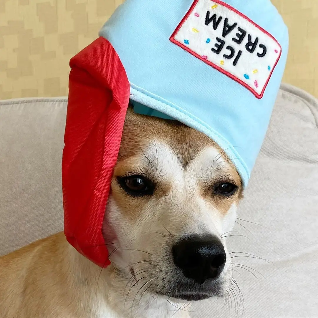 Ведро для мороженого светящийся шар BB под названием международной торговли