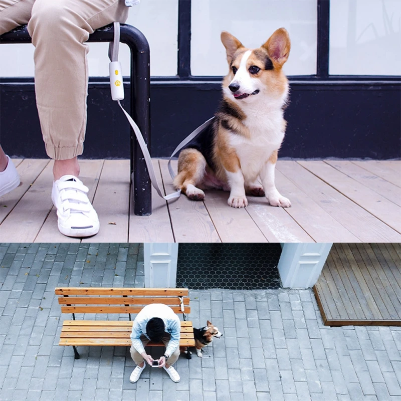 

Pet Supplies Dog Traction Rope Strong and Durable Hand Feeling Comfortable Easy to Use Dog Rope