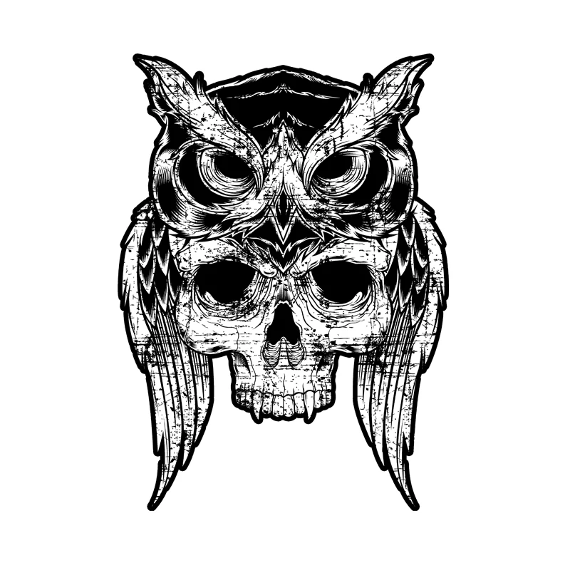 

Owl Head Crest Helmet Tribal Chiefs Sticker Decal #04039