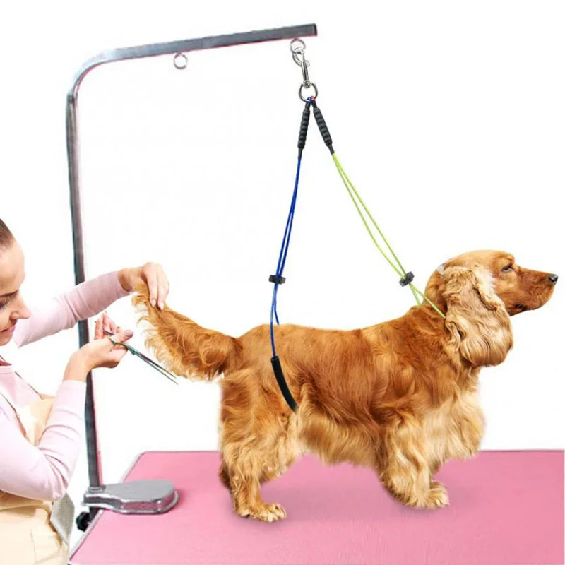 

Pet Dog Cat Grooming Loop Table Bracket Holder Double Noose Restraint Rope Harness for Dogs Cats Bath Grooming Training