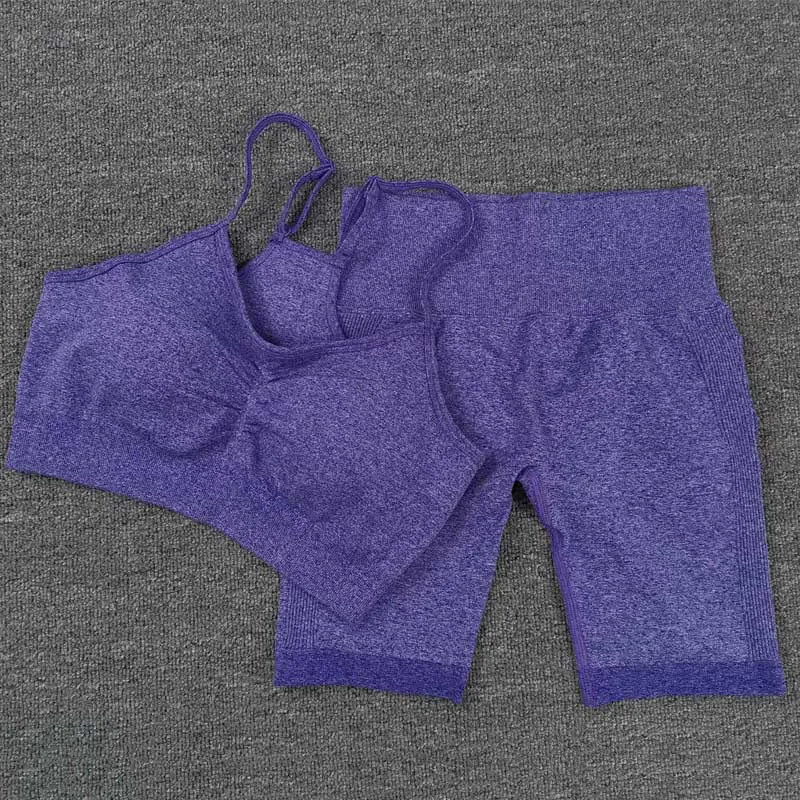 ASHEYWR Sport Suit Women Gym Fitness V Neck Bra High Elastic Waist Seamless Shorts Female Workout Tummy Control Yoga Suits