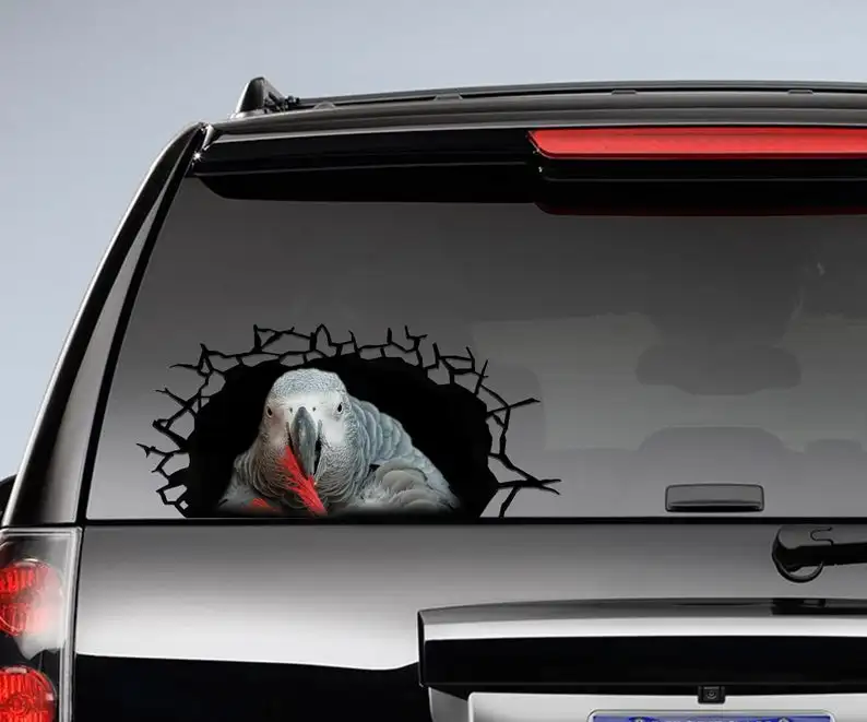 

2021 African Grey 3D sticker, cracked window decal , African Grey decal