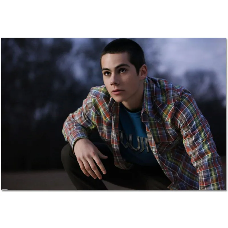 

Новое поступление, постер на заказ с Диланом о'брайеном, украшение для дома, модный настенный постер из шелковой ткани, постер на заказ 27x40 см...