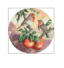 Набор для вышивания с изображением красивых фруктов и птиц, наборы для вышивки крестиком, Высококачественная вышивка, рукоделие сделай сам, 16 карат, 18 карат, 14 карат, без рисунка