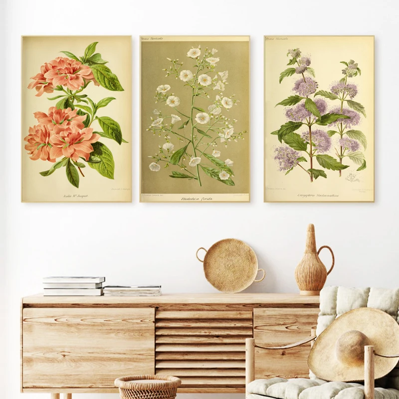 

Vintage Botanical Floral Posters Art Prints Rustic Farmhouse Wall Decor Flowers Plants Wall Art Retro poster kraft paper