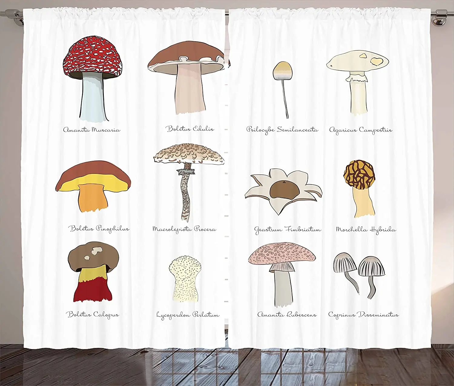 

Mushroom Blackout Curtains Colorful Fungi Pattern Blusher Boletus Sketch Style Plants Autumn Illustration Window Curtain