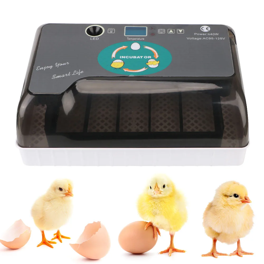 

Automatic Eggs Incubator Pet Products Chicken Bird Quail Brooder Farm Hatchery 4-35 Egg Hatchers Cheap Price