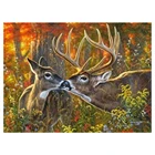 5D алмазная живопись с оленем, сделай сам, квадратная круглая стразы, хобби, ремесла, мозаика, подарки ручной работы, вышивка крестиком, украшение для дома