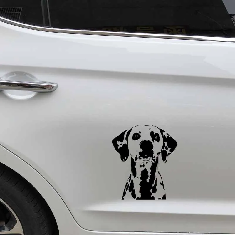 

Creativity Car Stickers Dog Animal Pet Dalmatians Great Waterproof Decal Accessories PVC 17cm X 15cm