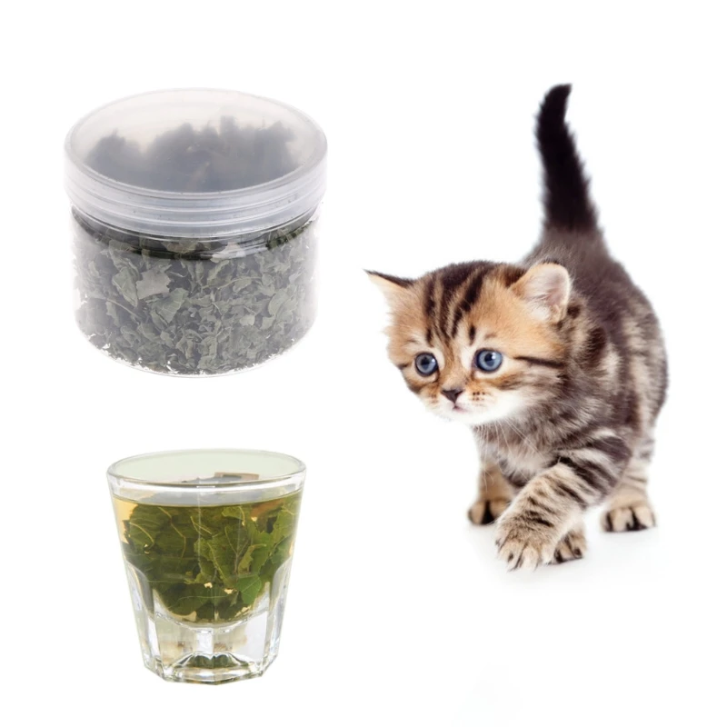 

Natural Silvervine Leaves Cat Catnip Dried Polygonum Matatabi Toys Flavor Snacks