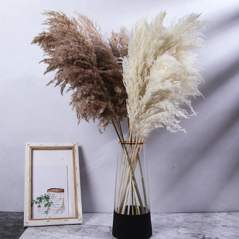 

10pcs Dried Pampas Grass Natural Dry Flower Plant Home Interior Vintage Decor Country Wedding Patio Decoration Party Backdrops