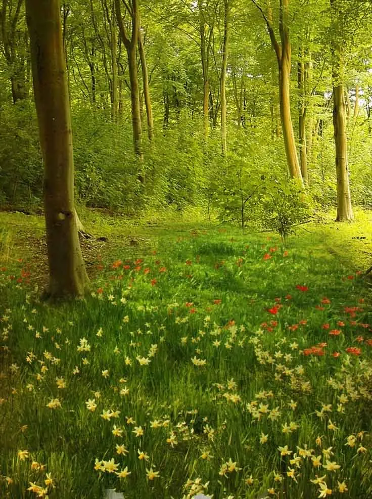 

SHENGYONGBAO Vinyl Custom Photography Backdrops Prop Children Scenery Fairy tale theme Photo Studio Background QD19511-113