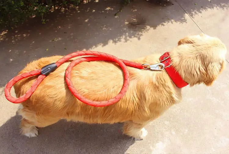 Тканый поводок для собак высокого качества товары прогулок на открытом воздухе