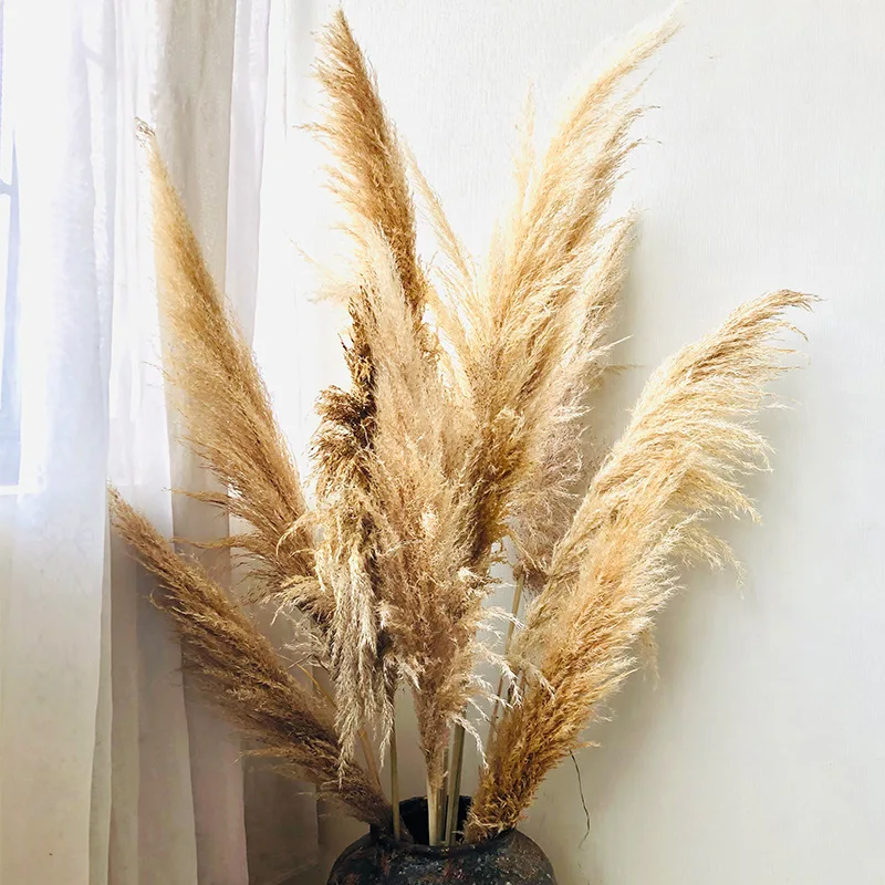 

80-100CM Natural Reed Dried Flower Big Pampas Grass Bouquet Wedding Home Decoration Cristmass Eternelle Flores Preservadas