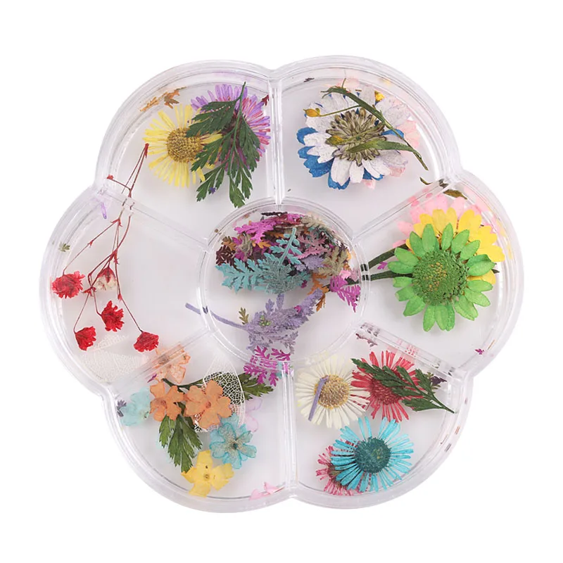 

Mix Colors 1 Wheel Dried Flower 3D Nail Art Decoration Natural Flowers Sticker for nail Manicure Accessories Tip