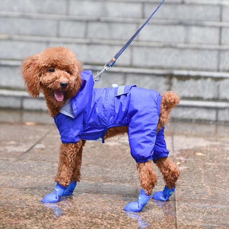 Ботинки для собак zapatos perro 4 шт. обувь для домашних собак водонепроницаемые противоскользящие непромокаемые зимние сапоги обувь лето для маленьких кошек товары для домашних животных, щенков