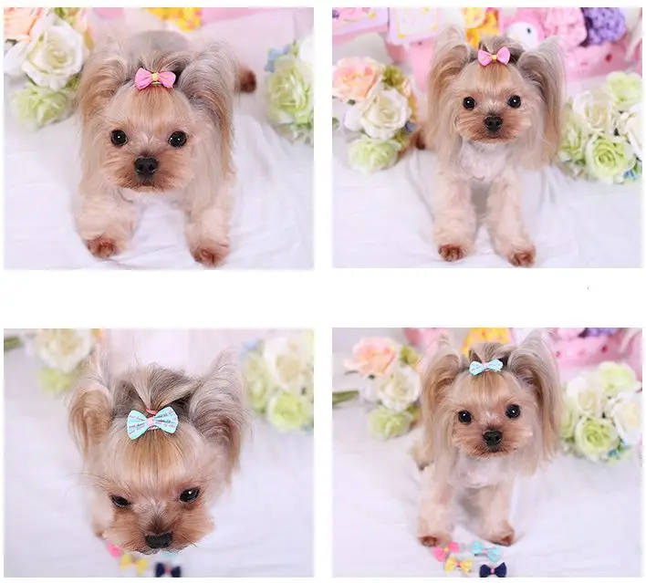 10 шт./компл. собачьи шпильки для волос с украшением в виде кошек аксессуары собак