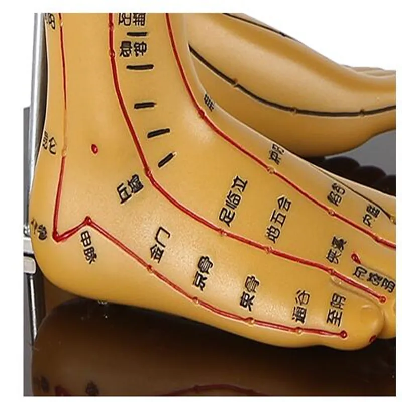 2020 новая модель акупунктуры человека меридиан акупунктура TCM тело бронзового