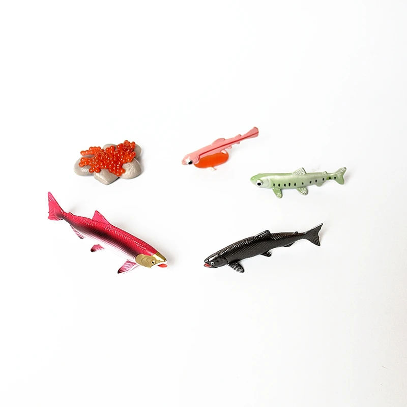 Реалистичный жизненный цикл лосося 5 отдельных кусочков роста Модель Статуэтка