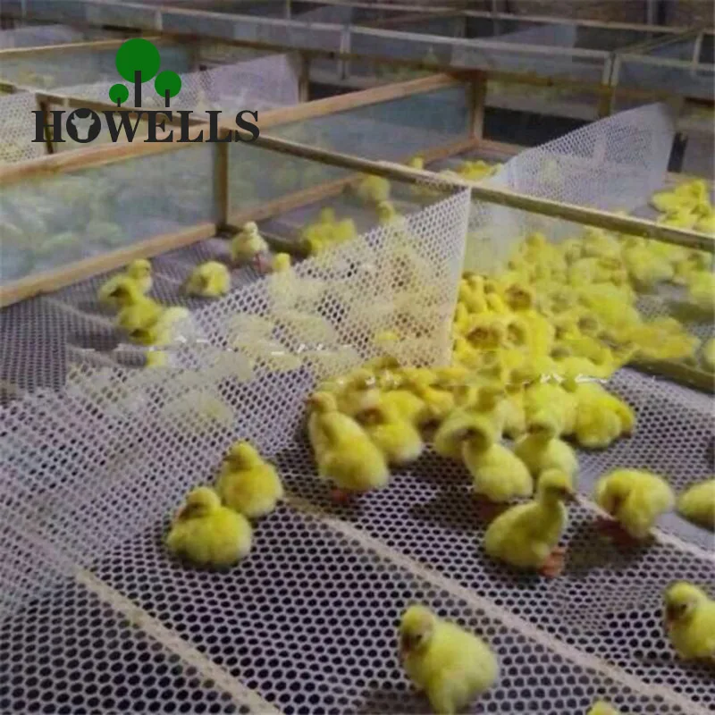 

Пластиковая сетка для снятия пены для цыплят