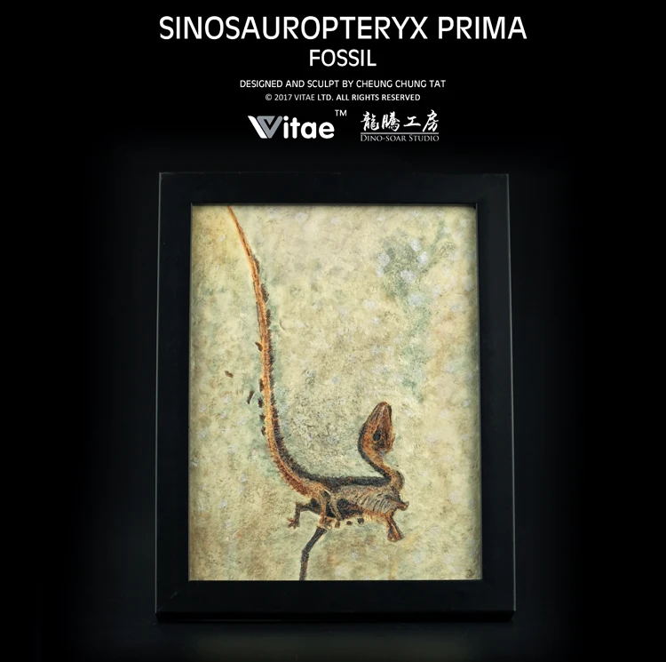 Оригинальная модель динозавра (синозавроптерикс Прима) ископаемая копия