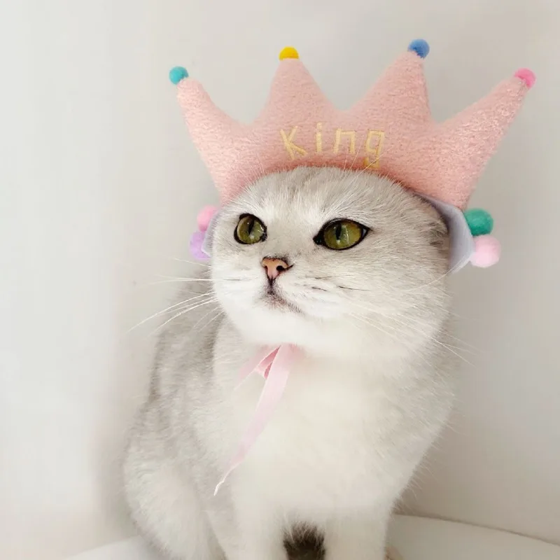 

Детская шляпа в виде короны и кошки