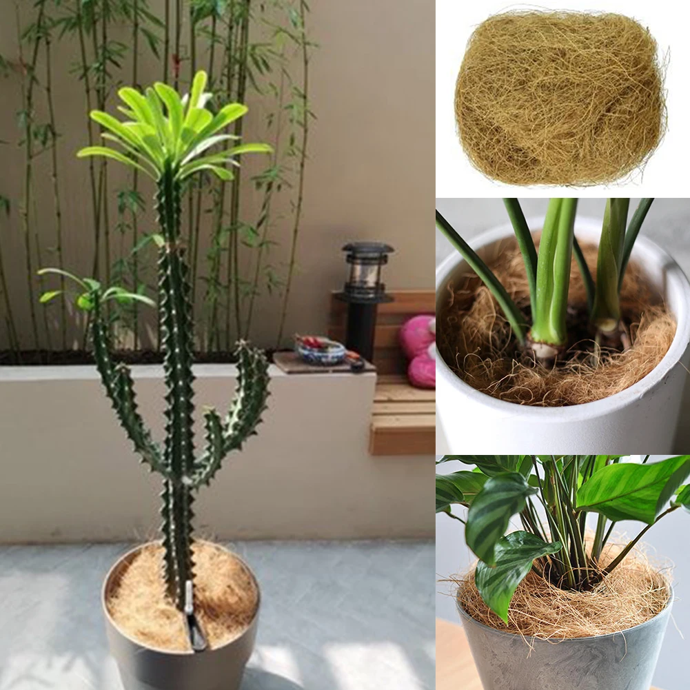 Small Pet Easy Apply Home Root Growth Sterilized Bird Nests Coconut Fiber Practical Bonsai Good Permeability Garden Soil Coir