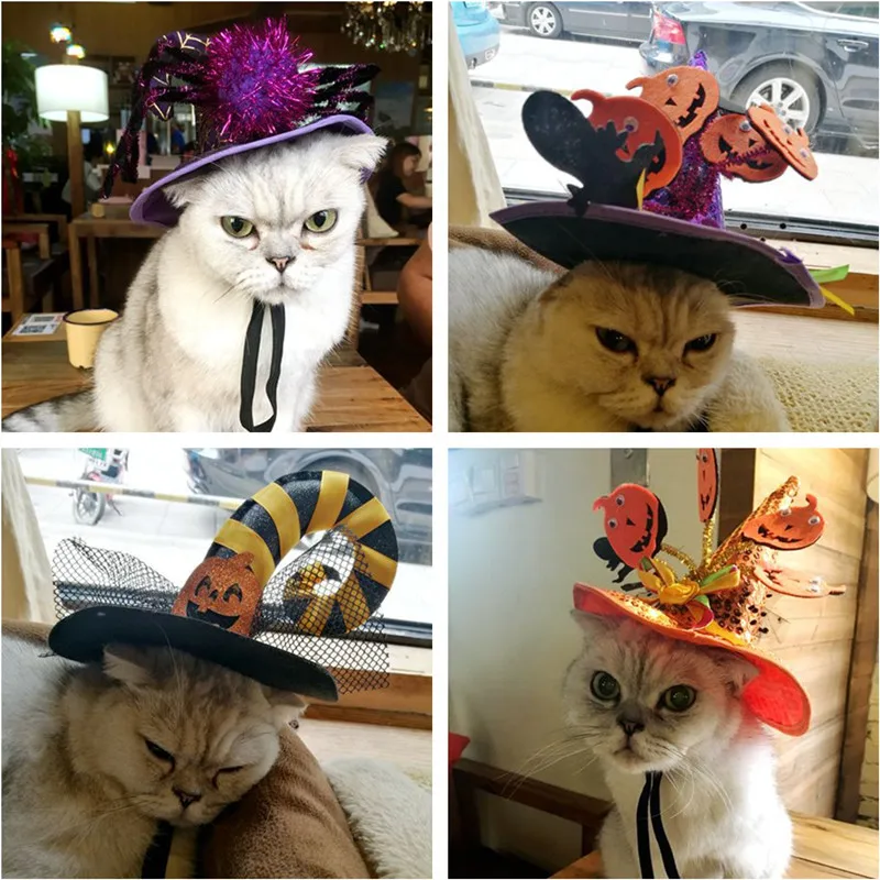 Тыква паук волшебник шляпа для домашних животных кошек маленькая собака кошка