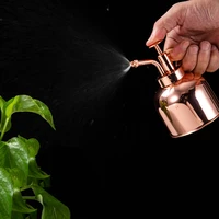 retro mini stainless steel watering can plants succulents watering pot home office potted plant garden tool