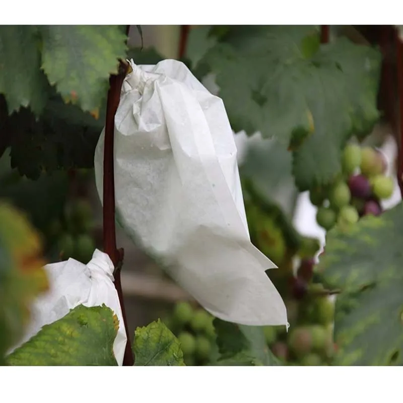 Мешок для защиты садовых овощей винограда яблок фруктов 30 шт./лот | Дом и сад