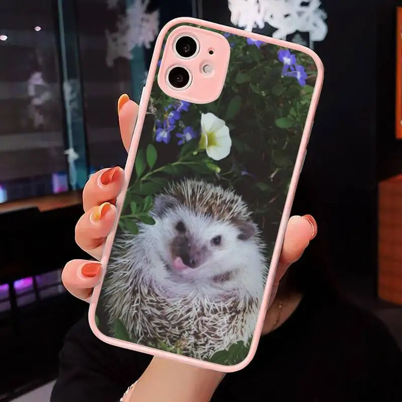 

Cute little hedgehog Phone Case Pink matte transparent For iPhone 7 8 x xs xr 11 12 pro plus max mini Clear Funda