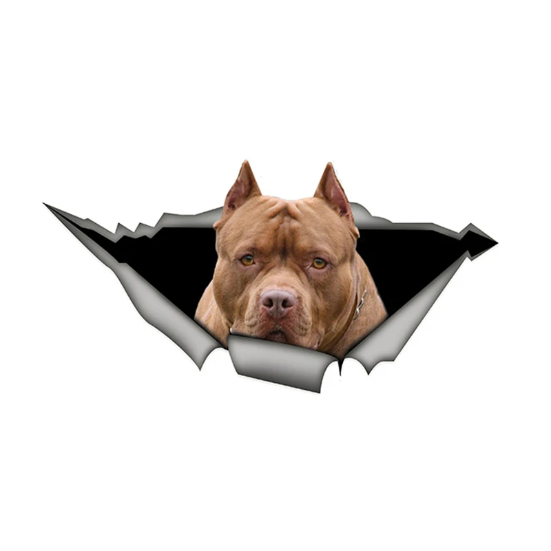 

S50316#13/15/17CM Personality PVC Decal Brown American Pit Bull Car Sticker on Motorcycle Laptop Decorative Accessories