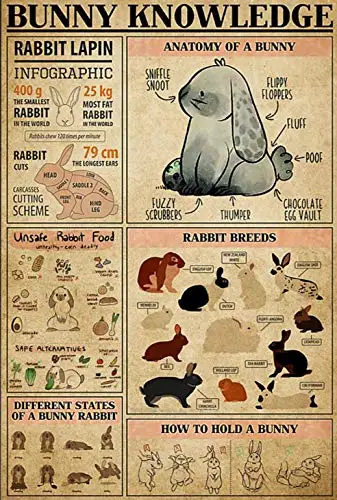 

Rabbit Bunny Knowledge Metal Sign Garage Street Cafe Bar Club Kitchen Wall Decoration Retro Metal Tin SignBest Gift for Family