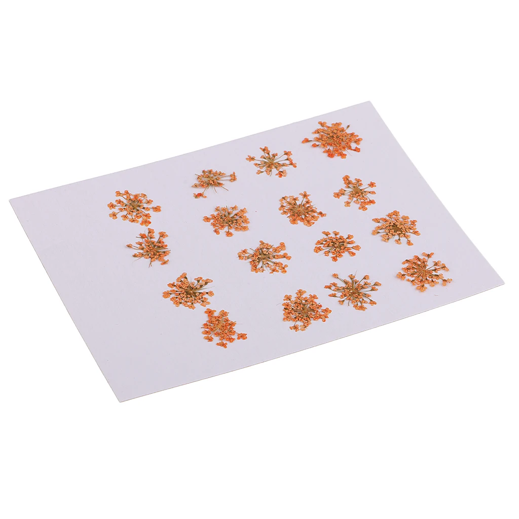 Прессованный высушенный цветок из плоти DIY Художественный Декор Ремесло чехол