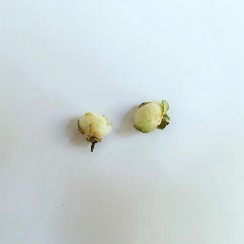 Новинка Натуральные сушеные цветы в виде снежного лотоса свадебные вечерние для