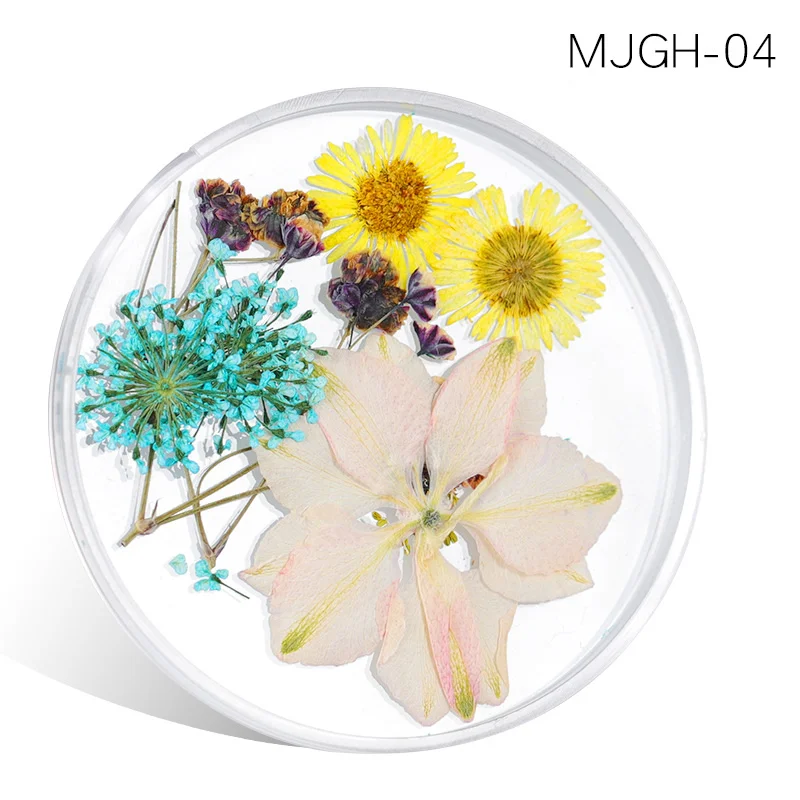 MJGH 04 Сушеные цветы, листья, украшения для ногтей, Микс, натуральный цветочный гипсофиловый стикер, 3D, сухая красота, наклейки для ногтей, УФ Гель-лак, маникюр - Цвет: MJGH 04