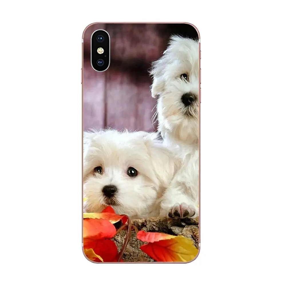 Мальты собаки мягкий чехол для мобильного телефона Huawei Nova 2 V20 Y3II Y5 Y5II Y6 Y6II Y7 Y9 G8 G9 GR3