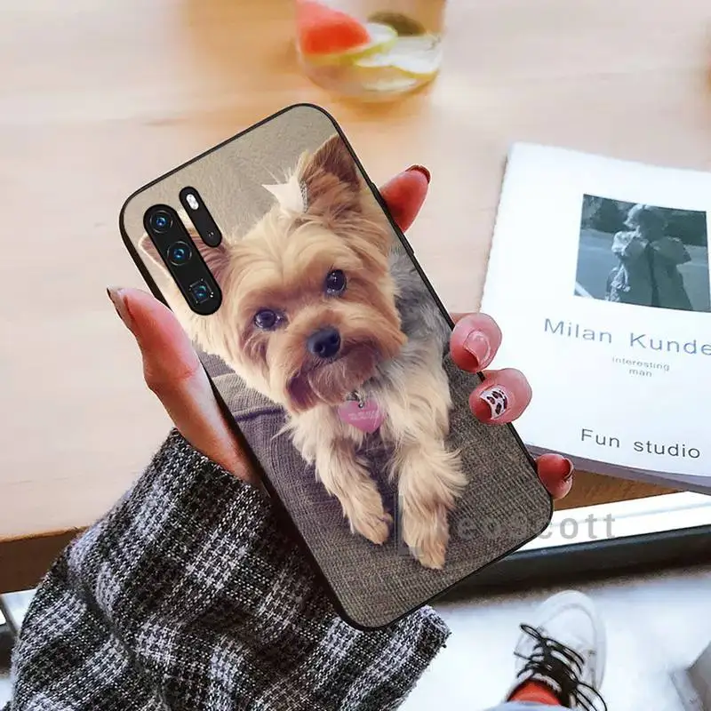 

Mini Yorkshire Terrier Dog Phone Case black For Huawei honor Mate mate P 10 9X 10i 20 30 40 y7 lite pro p smart 2019