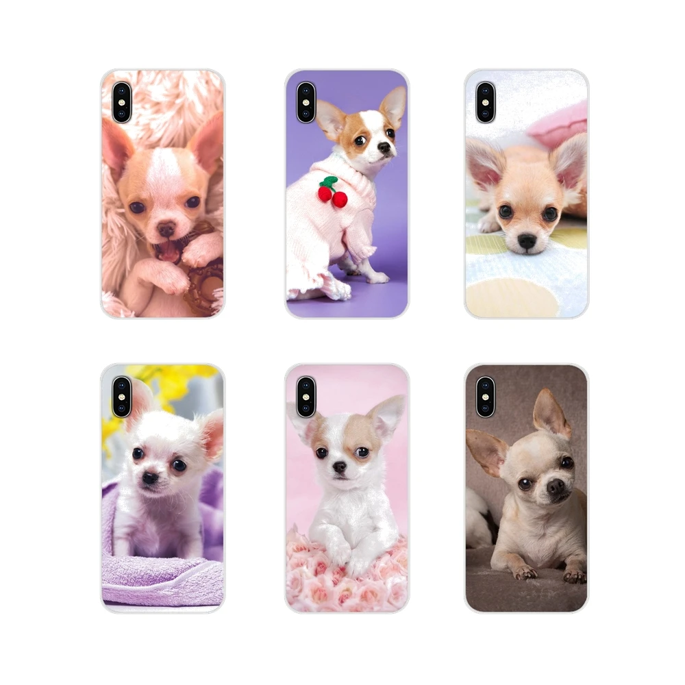 Животные Чихуахуа собака аксессуары чехлы для телефонов Чехлы Apple iPhone X XR XS 11Pro MAX 4S