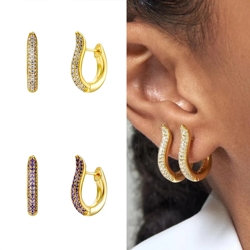 

925 Silver Ear Buckle White Purple Zircon Circle Hoops Round for Women Luxury Crystal CZ Loops Piercing Ohrringe Jewelry