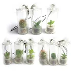 Случайные мини-вазы для растений, подвеска, пластиковая имитация суккулента, стеклянная крышка, подвеска, подарки для рукоделия, аксессуары для украшения дома и автомобиля