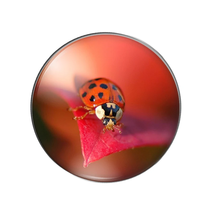 Новинка Божья коровка в виде насекомых обратно природу 10 мм/12 мм/18 мм/20 мм/25 мм