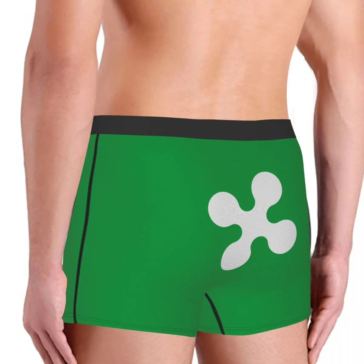 Flag Of Lombardy Men's Boxer Briefs regions of Italy Funny Novelty elastic pants for men