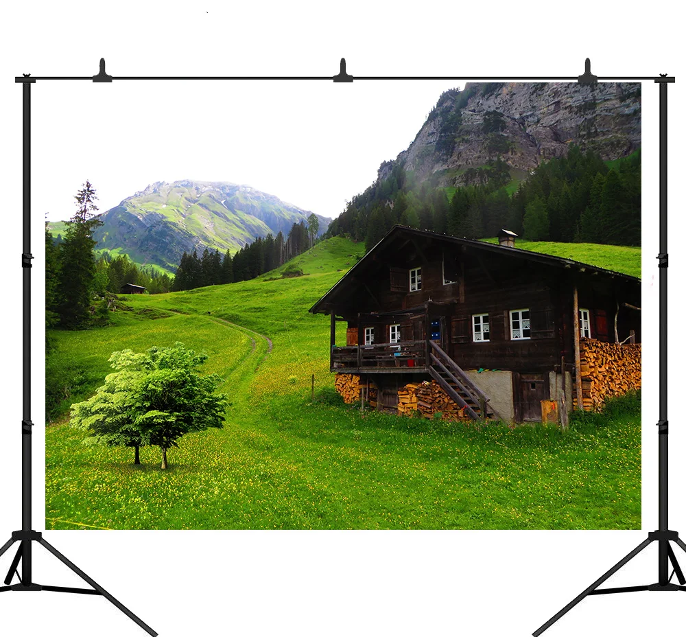 Фоны для фотосъемки Lyavshi с изображением луга и гор индивидуальные фоны