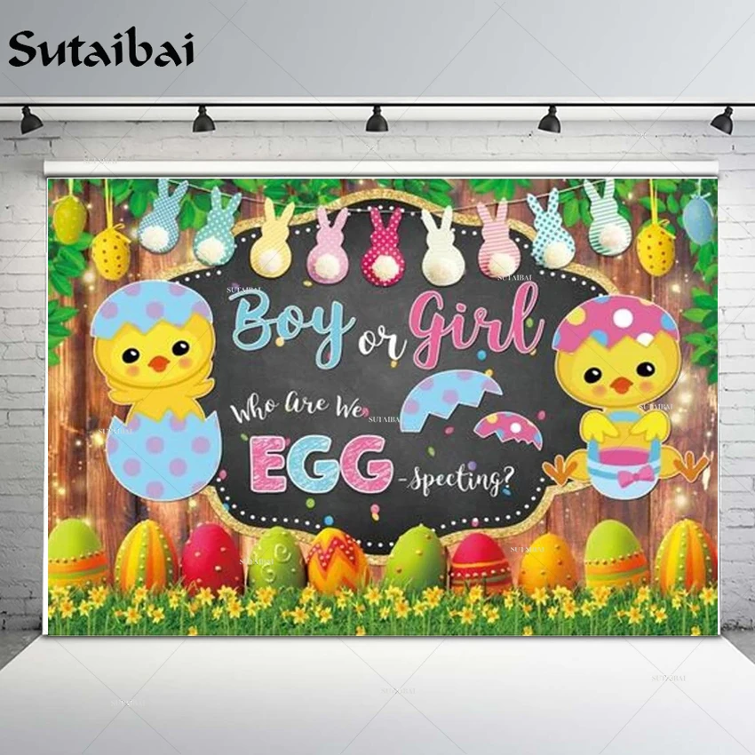 

Gender Reveal Easter Wooden Backdrop Chick Eggs Bunny Spring He or She Baby Shower Newborn Birthday Party Decor Photobooth
