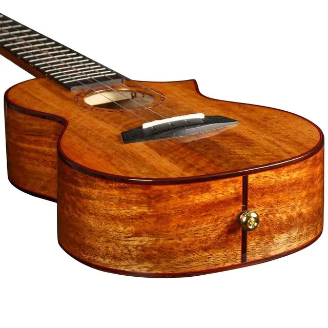 

Enya Concert Tenor Ukulele 23inch 26inch All 5A Solid Mango Wood High Gloss Finish Electric Ukelele with Premium Gig Bag Strap