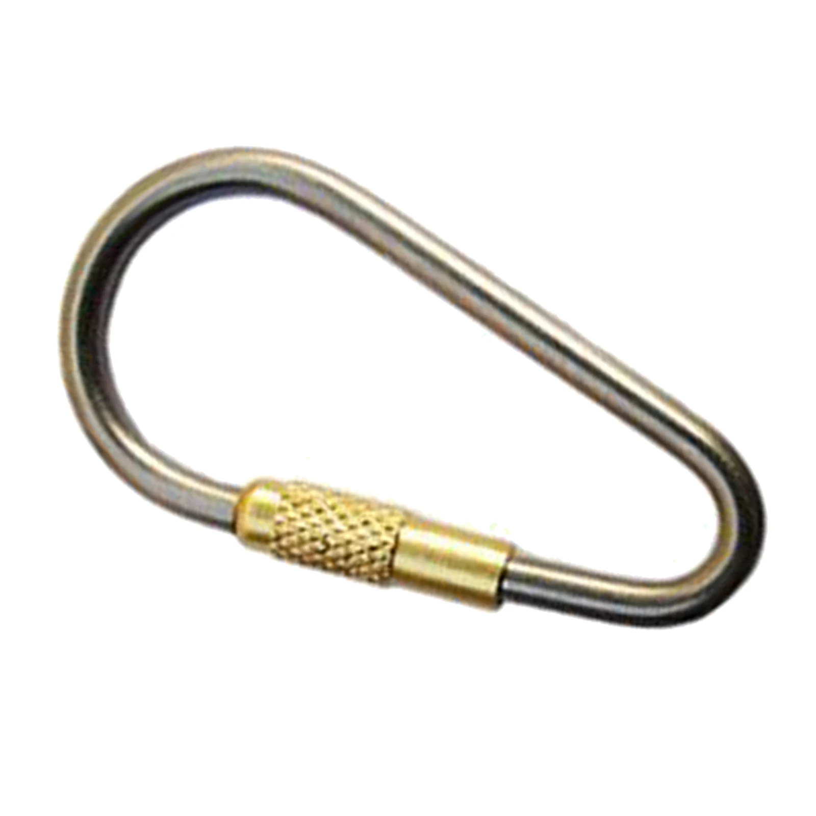 

Small Carabiner Clips Keychain Travel D-Ring Buckle Snap Hook Backpack