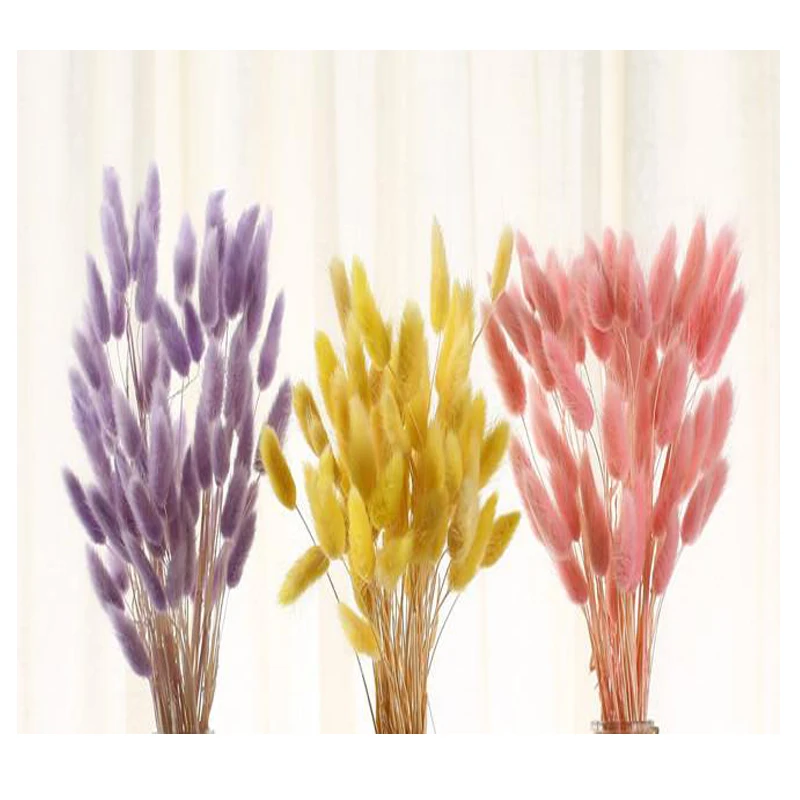 

Decoration Natural Rabbit Tail Grass Dried Flowers For Wedding Party DIY Craft Scrapbook Bouquet 10PCS